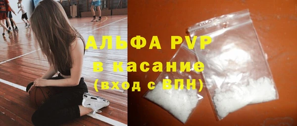 ПСИЛОЦИБИНОВЫЕ ГРИБЫ Вязники