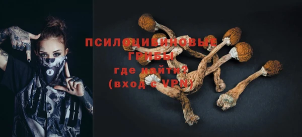 ПСИЛОЦИБИНОВЫЕ ГРИБЫ Вязники