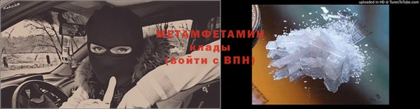 ПСИЛОЦИБИНОВЫЕ ГРИБЫ Вязники
