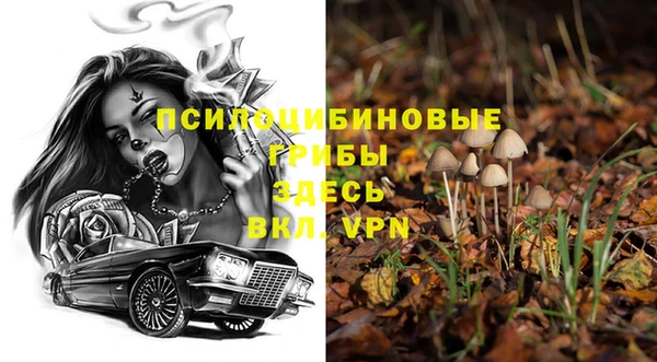 стафф Вяземский