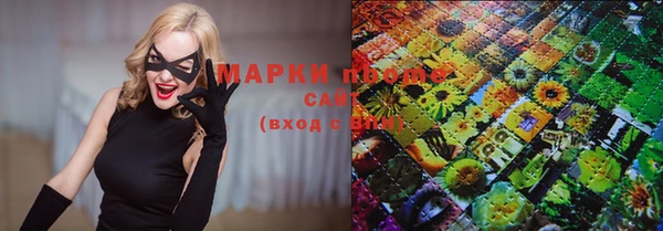 ПСИЛОЦИБИНОВЫЕ ГРИБЫ Вязники