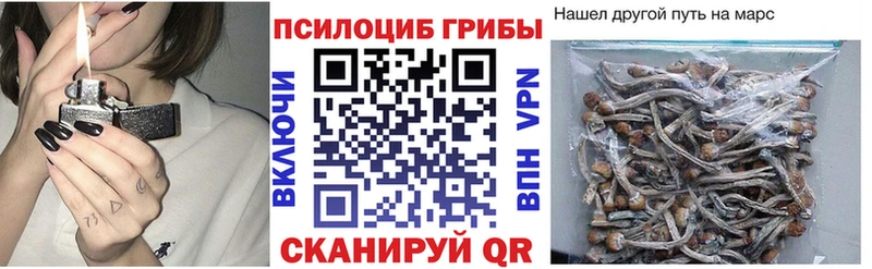 даркнет формула  Зеленоградск  Псилоцибиновые грибы MAGIC MUSHROOMS 